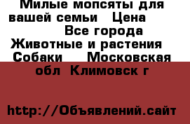 Милые мопсяты для вашей семьи › Цена ­ 20 000 - Все города Животные и растения » Собаки   . Московская обл.,Климовск г.